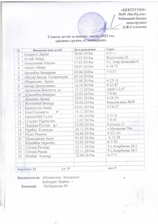 Смешарики  средняя группа